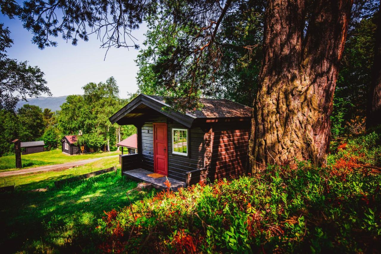 Ljoshaugen Dombås